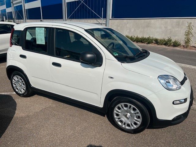 Fiat Panda 2.500 km 14.490 € Rastatt 76437