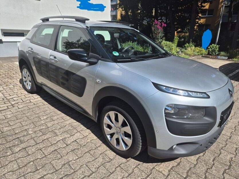 C4 Cactus
