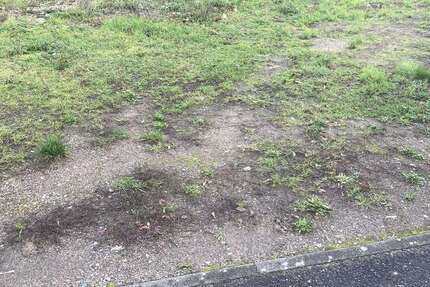 Grundstück Germersheim - 370.200&euro; | Angebot:18519227