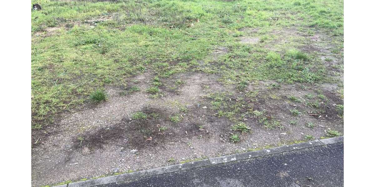 Grundstück Germersheim - 370.200&euro; | Angebot:18519227