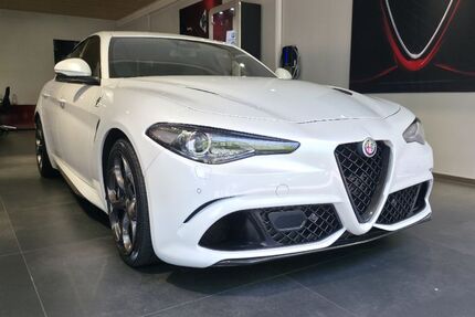 Alfa Romeo Giulia 88.690 km 61.900 &euro; Rastatt 76437