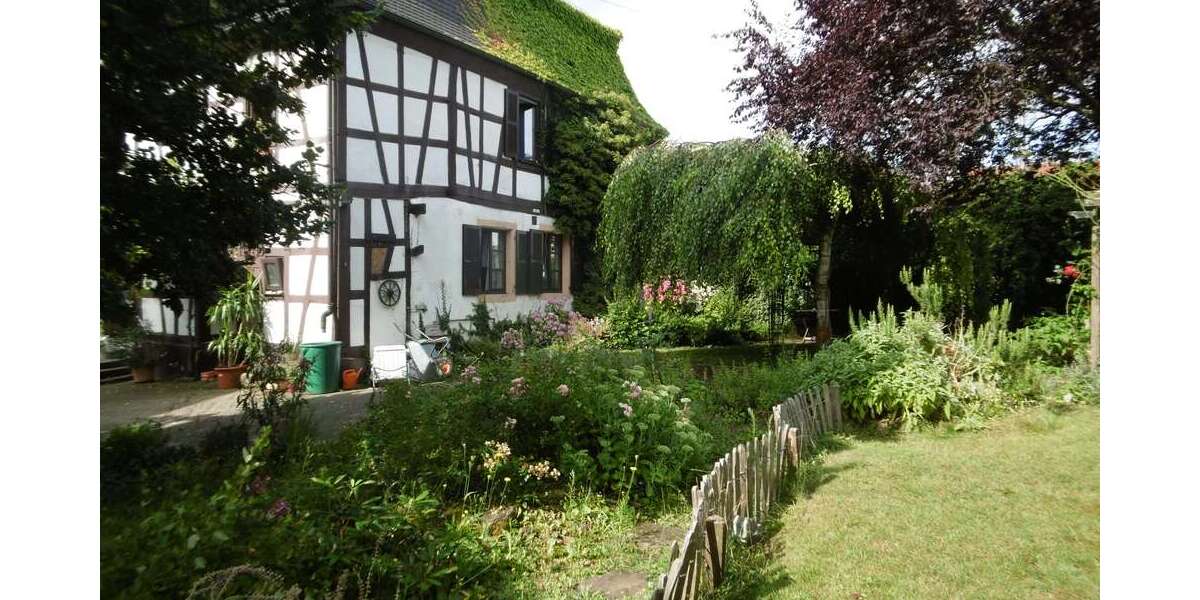 Einfamilienhaus Minfeld - 10 Zimmer, 300 m&sup2;, 495.000&euro; | Angebot:22995713