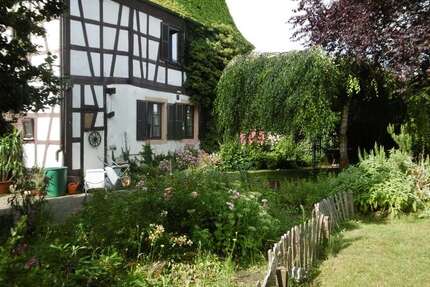 Haus Minfeld - 10 Zimmer, 300 m&sup2;, 495.000&euro; | Angebot:22995713