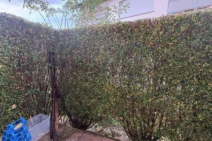 Wohnung zum Mieten in Ispringen 510 € 46 m² 2 zimmer