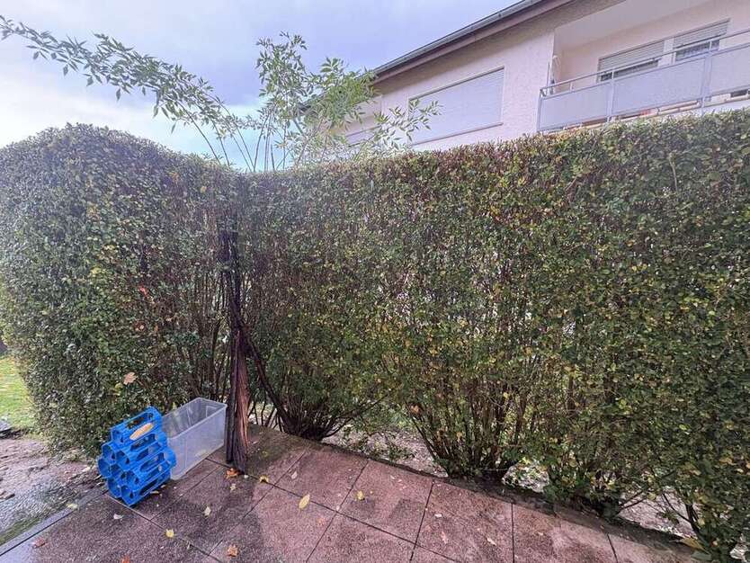 Wohnung zum Mieten in Ispringen 510 € 46 m² 2 zimmer