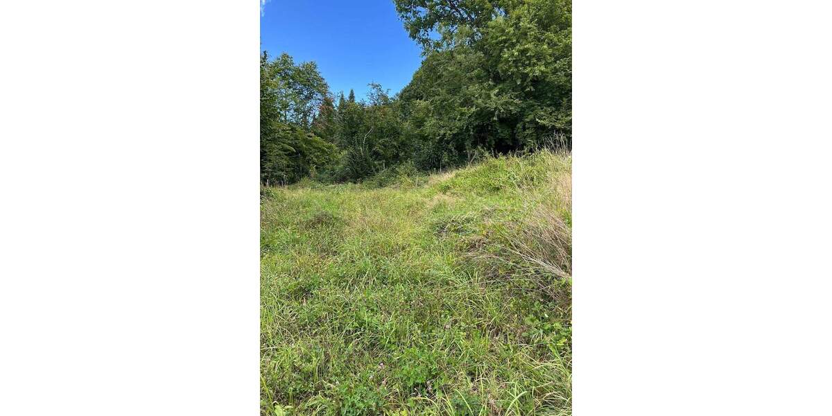 Grundstück Gaggenau Winkel - 165.000&euro; | Angebot:25671496