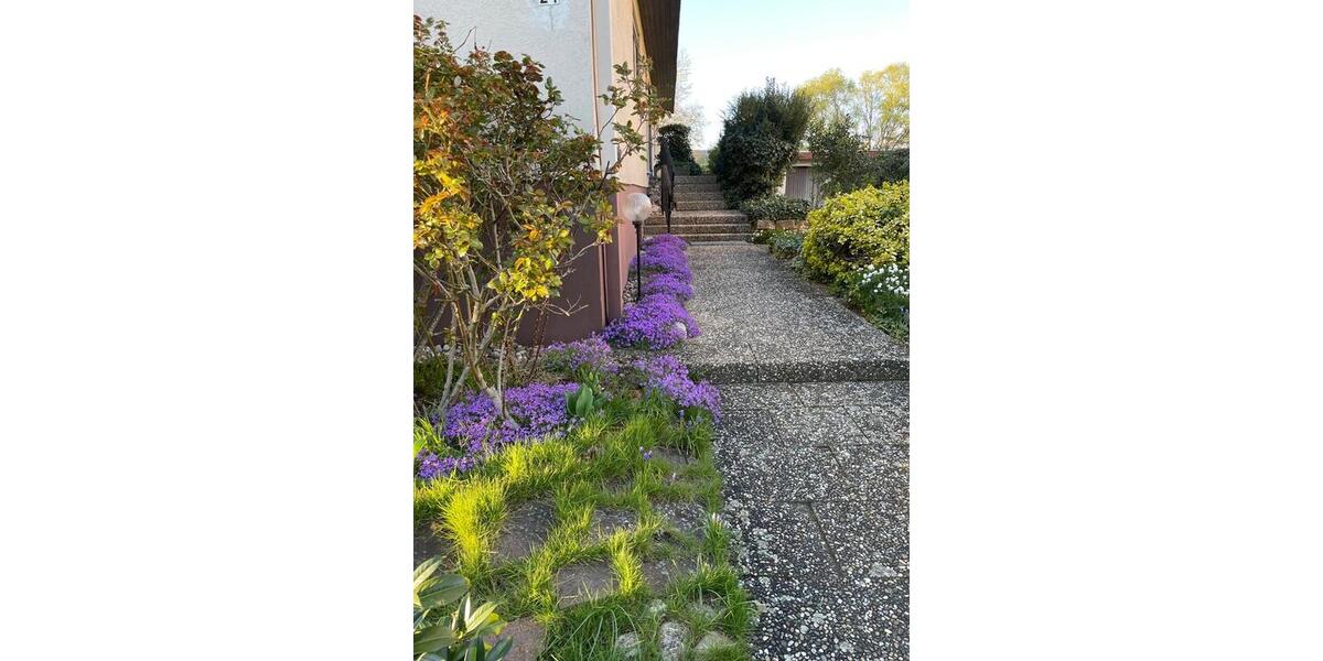 Einfamilienhaus Wörth am Rhein - 5 Zimmer, 150 m&sup2;, 570.000&euro; | Angebot:25157961