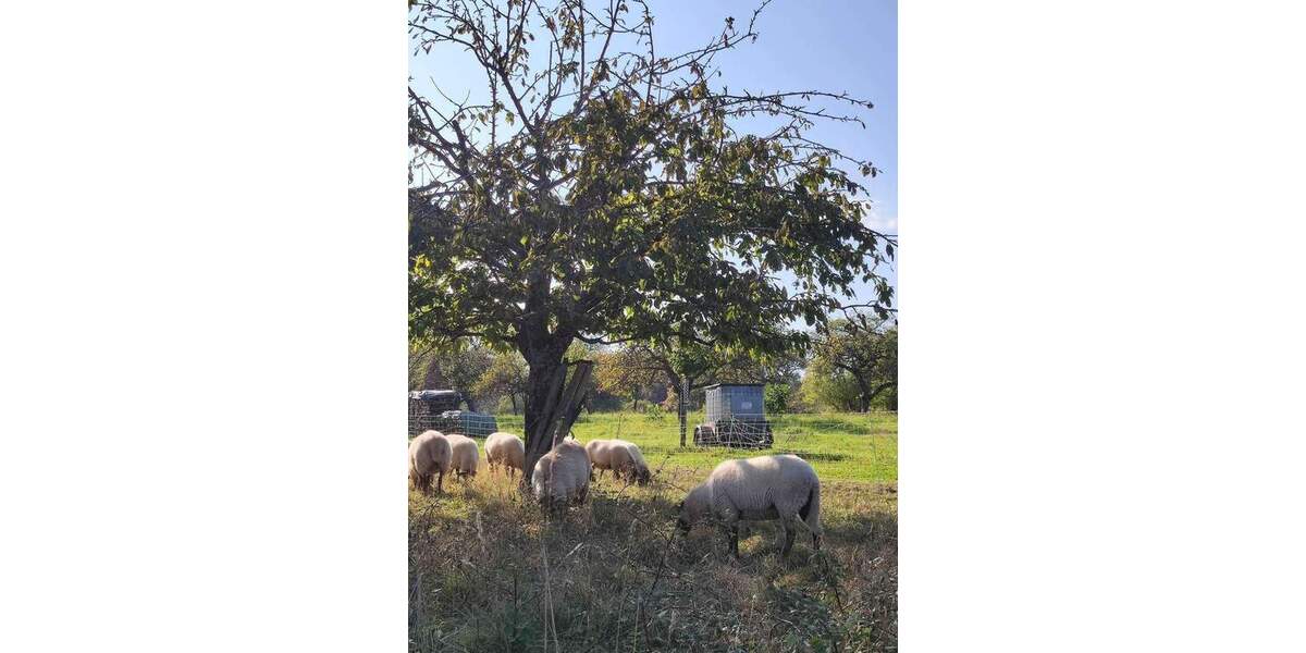 RESERVIERT ! EFH in absoluter Spitzenlage - direkt an Wiesen und Feldern 6 zimmer