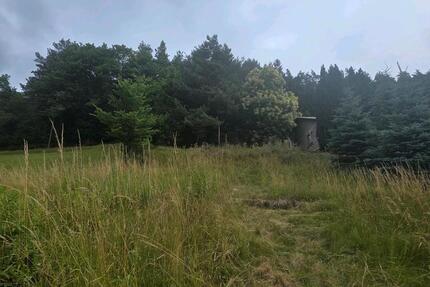 Grundstück in Erlenbach bei Dahn – Naturnah wohnen mit Burgblick zimmer