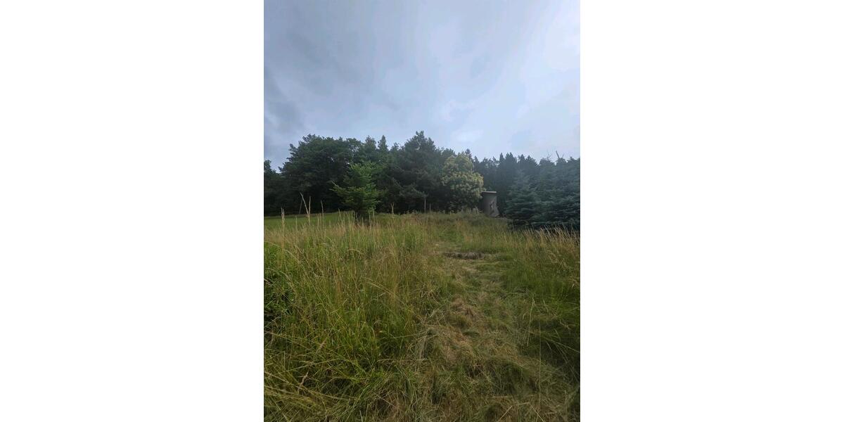 Grundstück in Erlenbach bei Dahn – Naturnah wohnen mit Burgblick zimmer