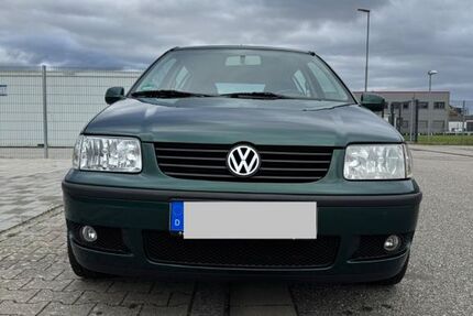 VW Polo 233.946 km 1.300 € Dettenheim 76806