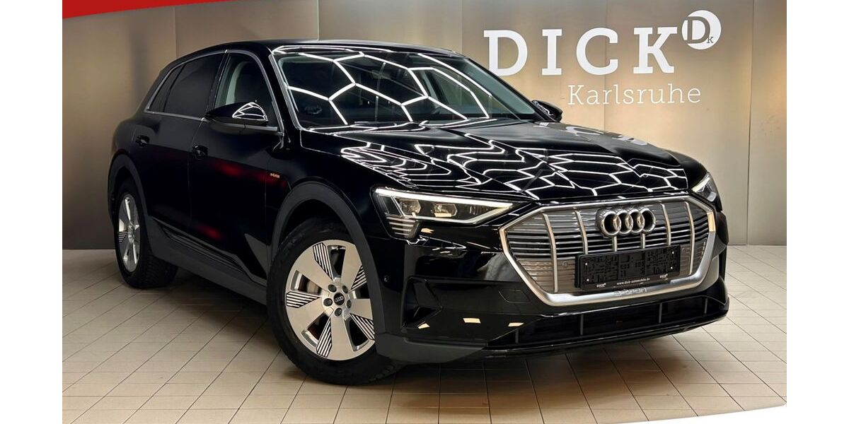 Audi e-tron 10.743 km 30.950 &euro; Karlsdorf-Neuthard 76689