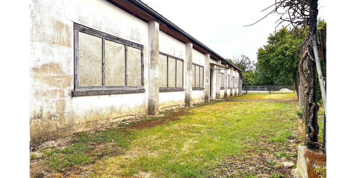 Platz ohne Ende: Trockenhalle mit Außenfläche, Stellplätzen und Laderampe - Gewerbeobjekt Steinmauern | Angebot:27357873