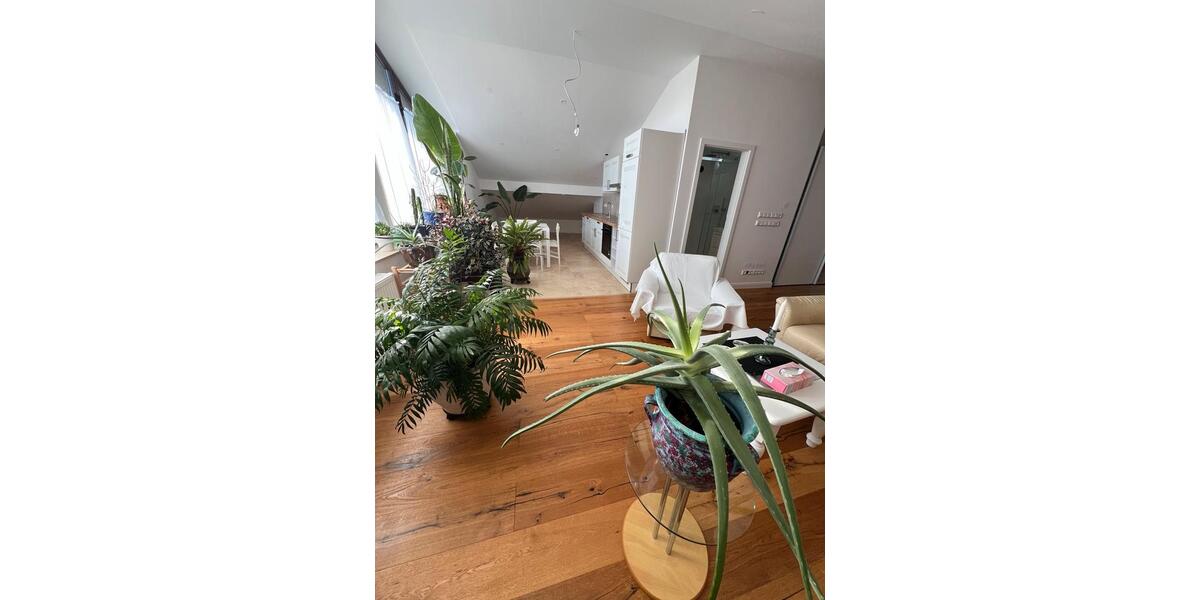 Dachgeschoßwohnung Pforzheim Dillweißenstein - 1 Zimmer, 58 m&sup2;, 800&euro; | Angebot:24805968