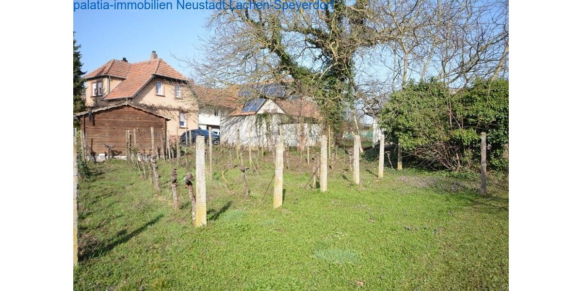 Haus mit zwei Wohneinheiten und 7000m² Grundstück Bornheim - 5.5 oder mehr Bornheim | Angebot:27196114