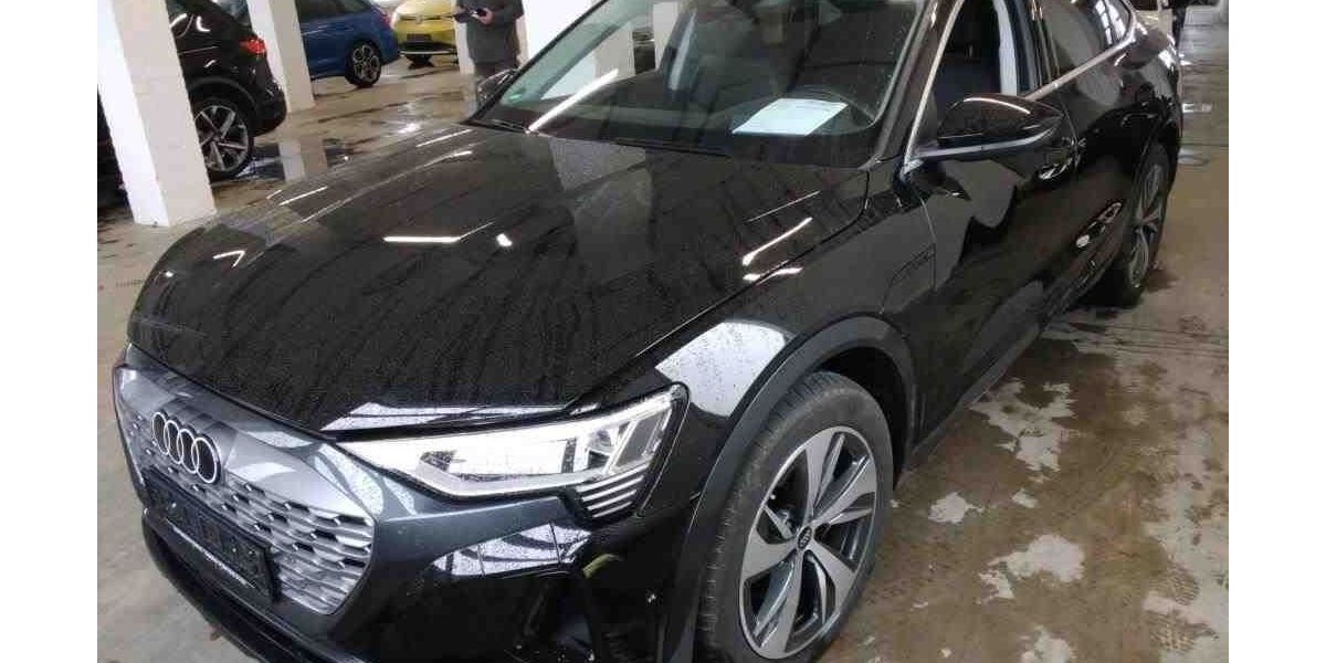 Audi Q8 e-tron 23.066 km 53.900 &euro; Ettlingen 76275