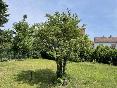 TRAUM VOM EIGENHEIM VERWIRKLICHEN zimmer