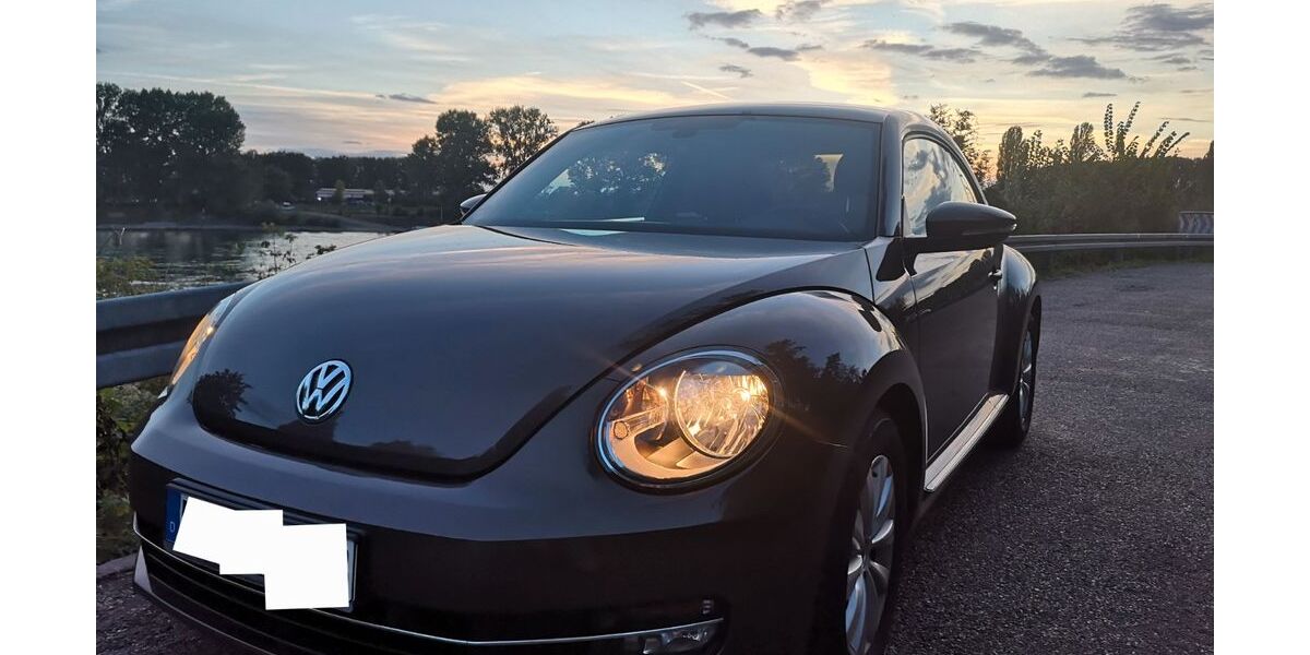 VW Beetle 115.000 km 12.950 € Hambrücken 76707