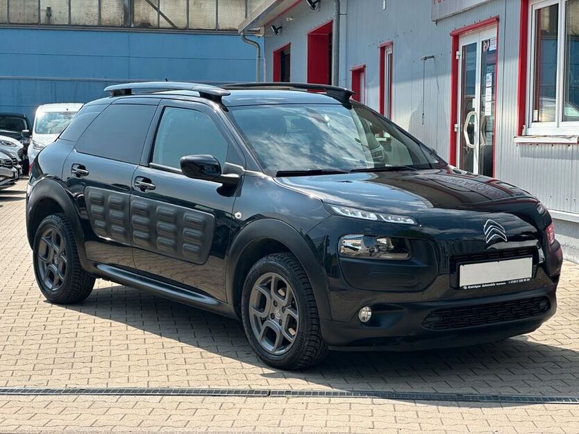 C4 Cactus