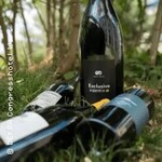 Big Bottle BBQ Party: Black Forest