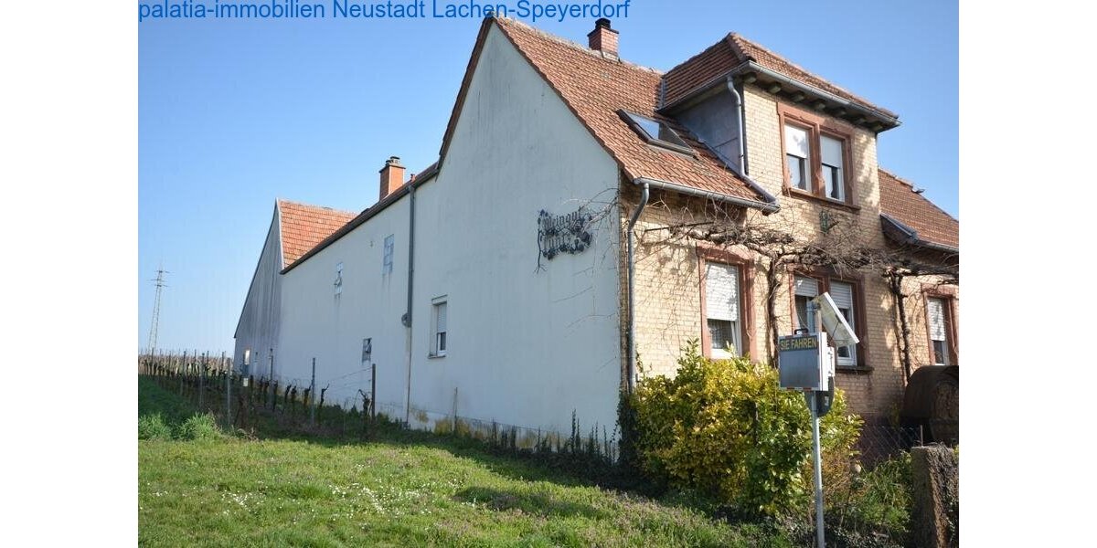 Haus mit zwei Wohneinheiten und 7000m² Grundstück Bornheim - 5.5 oder mehr Bornheim | Angebot:27196114