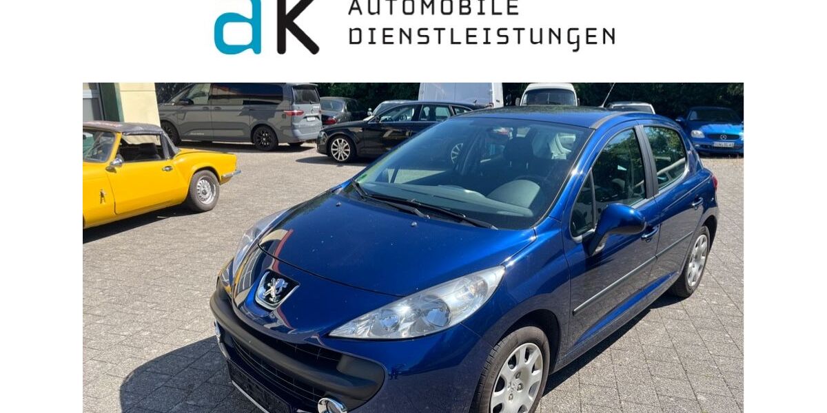 Peugeot 207 74.659 km 3.999 &euro; Landau 76829