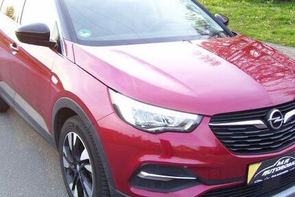 Opel Grandland (X) 110.000 km 14.599 &euro; Kandel 76870