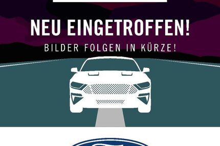 Ford Kuga 40.501 km 20.980 &euro; Karlsruhe 76185