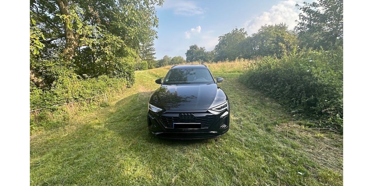 Audi Q8 e-tron 31.000 km 55.000 &euro; Bruchsal 76646