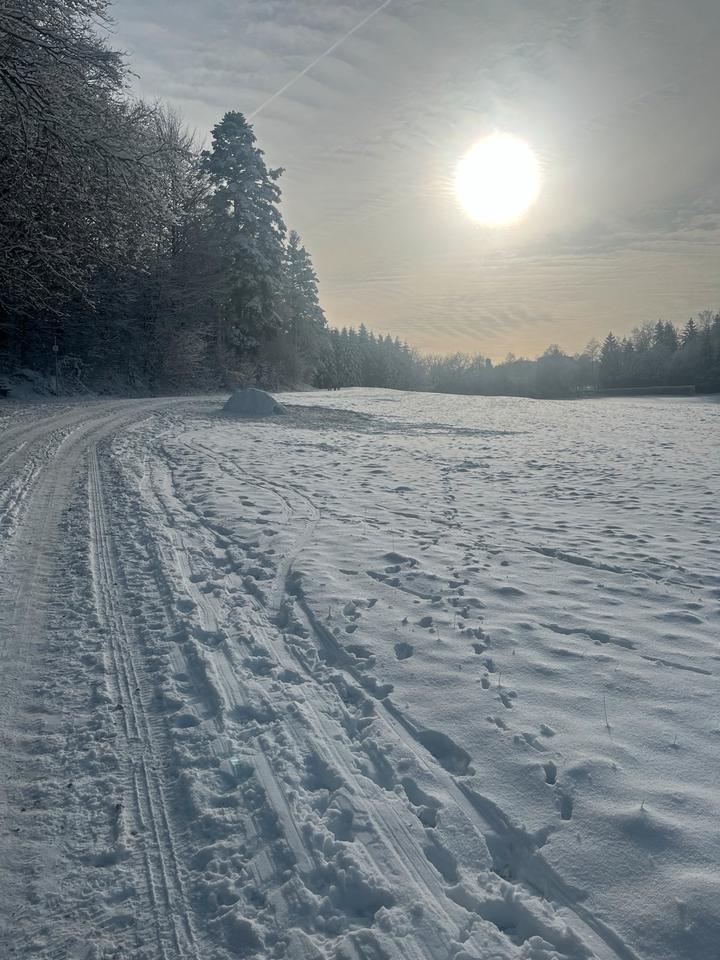 Ein wunderschönes Fachwerkhaus mit dem Tor zur Natur ❤️