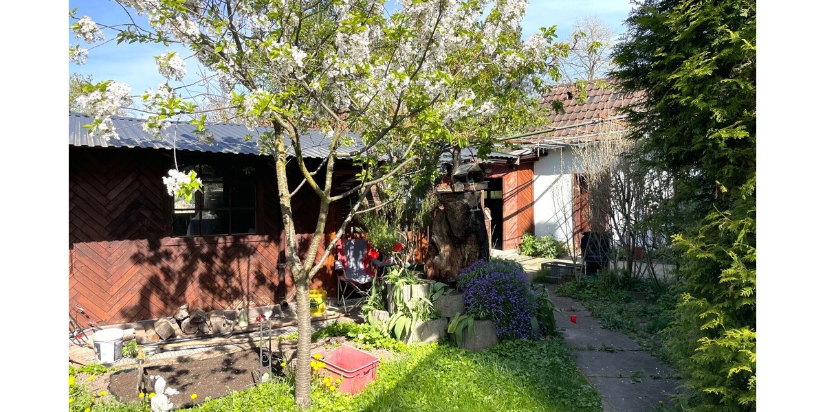 Renditestarkes Mehrfamilienhaus - Mehrfamilienhaus, Wohnhaus Rastatt | Angebot:26004839