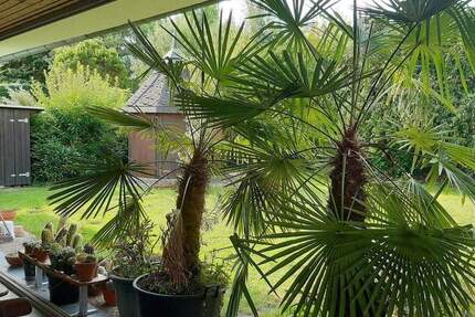 Haus Karlsruhe Palmbach - 4 Zimmer, 168 m&sup2;, 690.000&euro; | Angebot:25747461