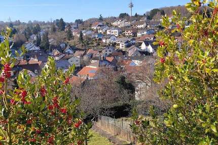 1-2 FH + Bauplatz 7 zimmer