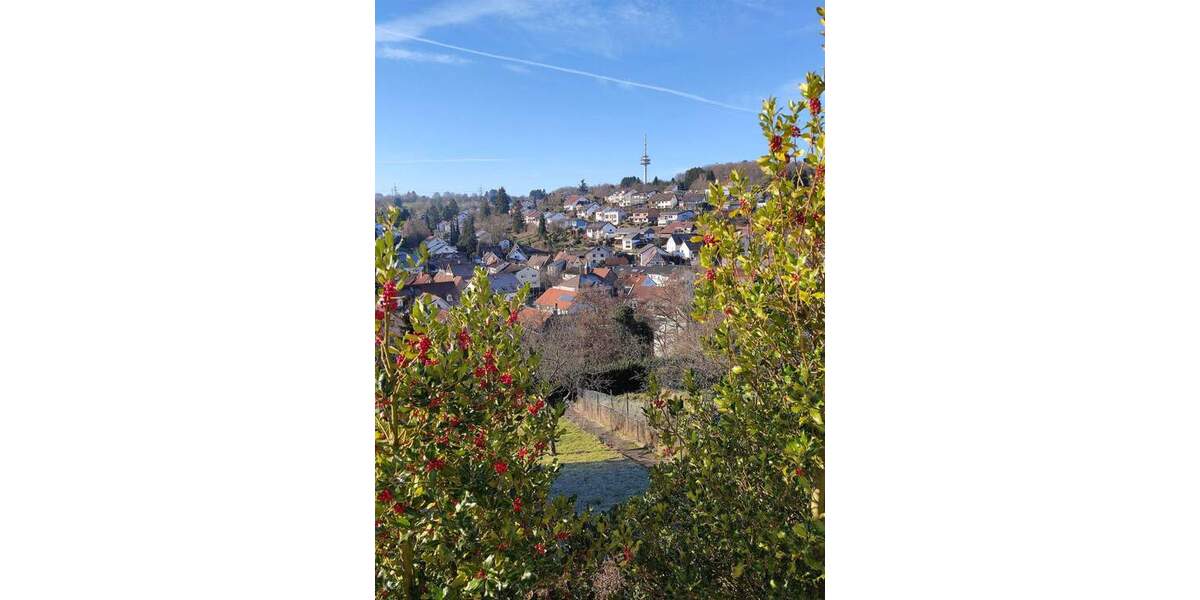 1-2 FH + Bauplatz 7 zimmer