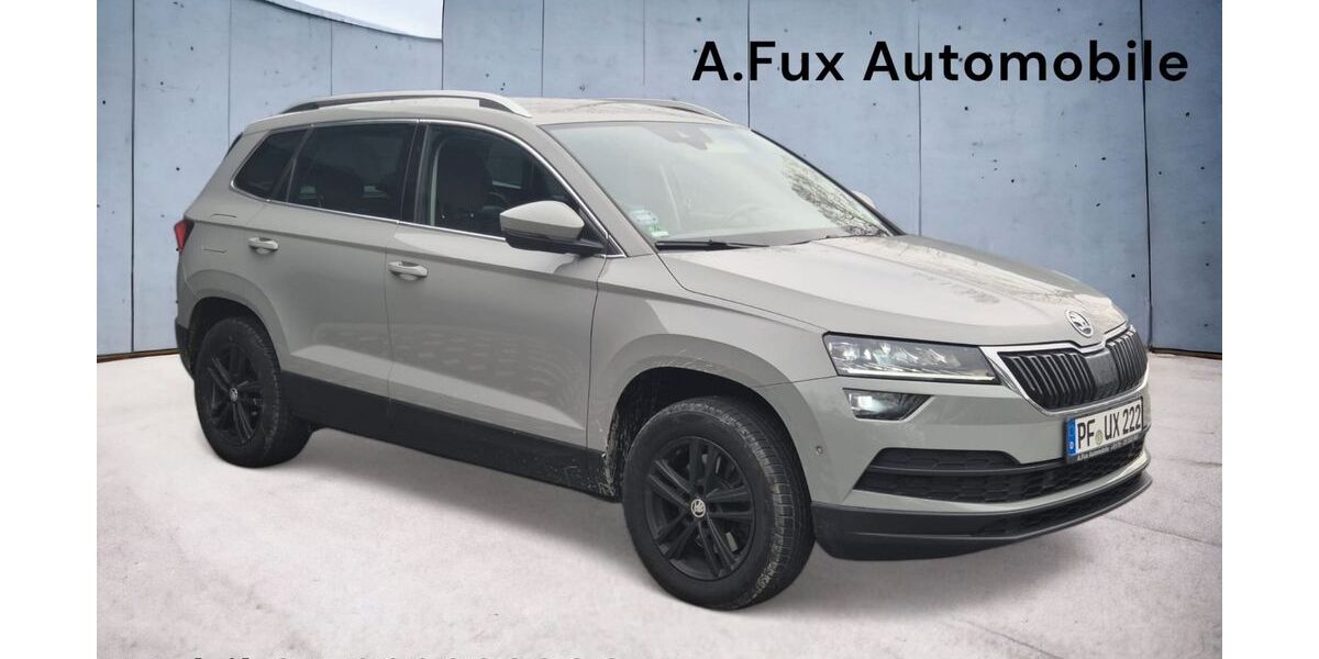 Skoda Karoq 142.200 km 18.777 &euro; Birkenfeld bei Pforzheim 75217
