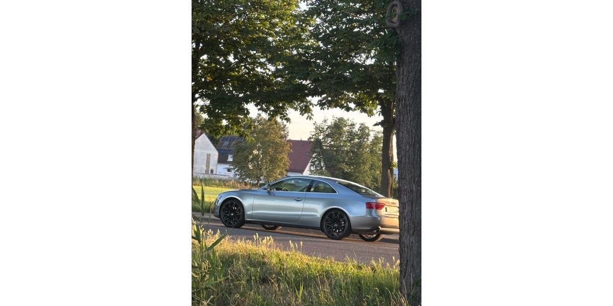 Audi A5 223.000 km 7.400 &euro; Landau in der Pfalz 76829