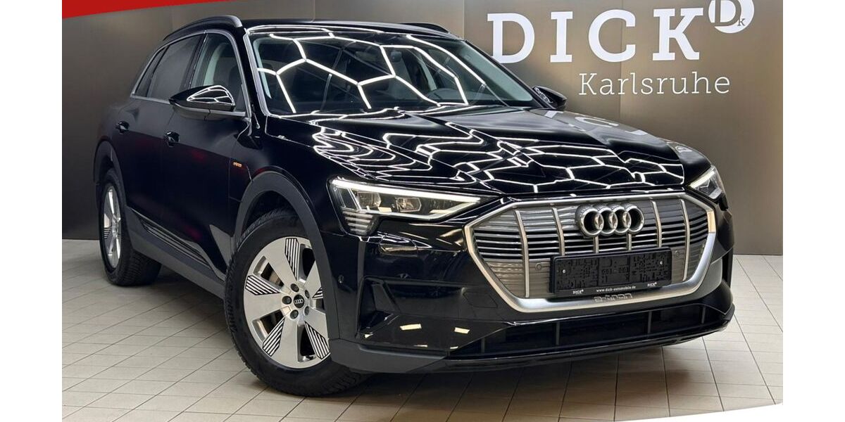Audi e-tron 69.102 km 29.450 &euro; Karlsdorf-Neuthard 76689