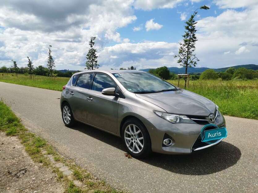 Auris