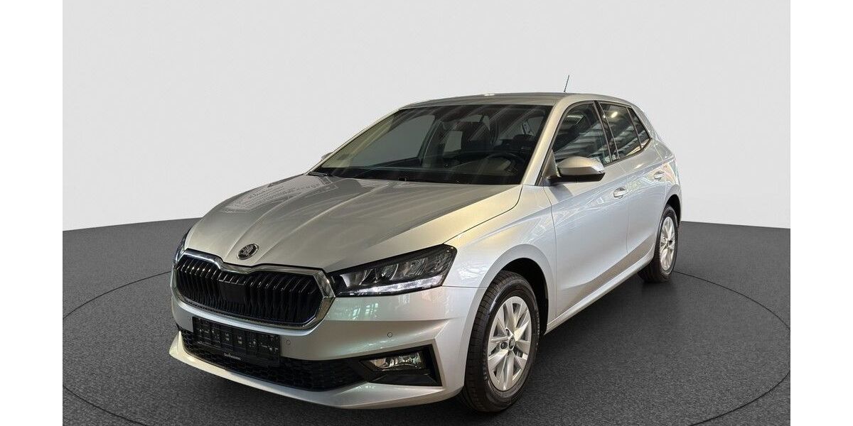 Skoda Fabia 3.500 km 23.690 &euro; Karlsruhe 76131