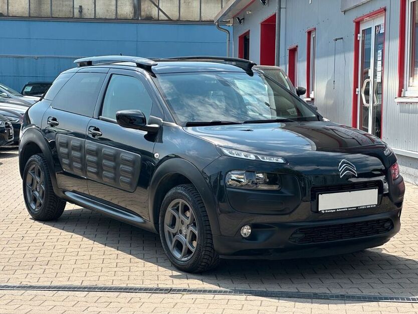 C4 Cactus