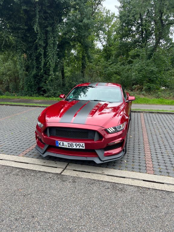 Mustang