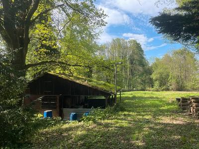 IHR GANZ PRIVATES STÜCK NATUR - Grundstück Kuppenheim | Angebot:27289814