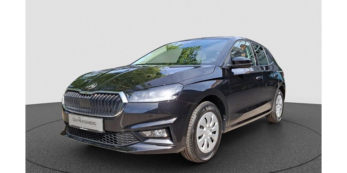 Skoda Fabia 1.150 km 19.890 &euro; Karlsruhe 76131