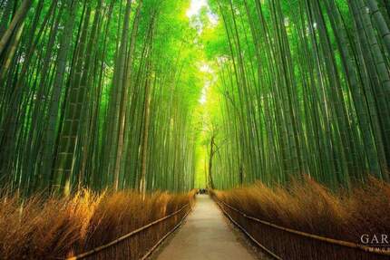 Großes Baugrundstück in Karlsruhe zimmer