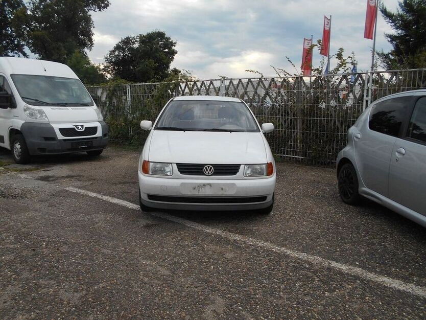 Polo