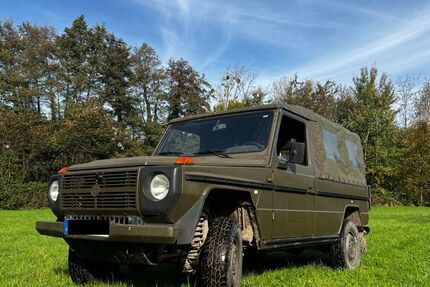 Mercedes-Benz G 230 70.158 km 22.500 &euro; Berg 76768