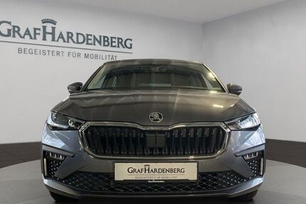 Skoda Scala 12.500 km 27.390 € Karlsruhe 76131