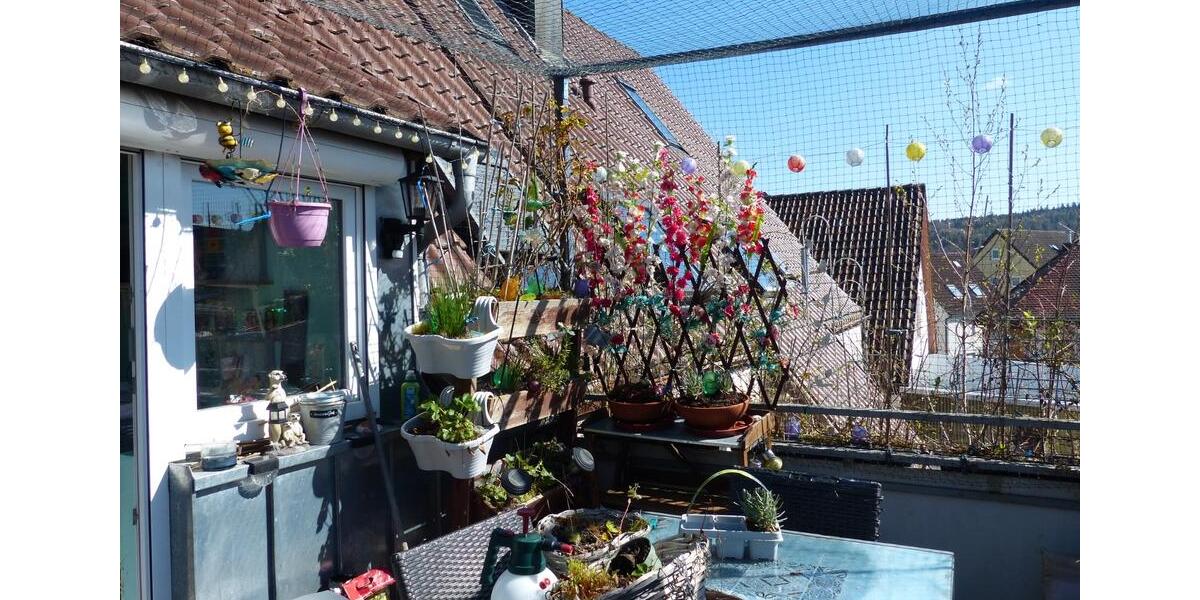 Doppelhaushälfte Birkenfeld - 9 Zimmer, 213 m&sup2;, 454.000&euro; | Angebot:26429110