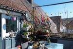 Doppelhaushälfte Birkenfeld - 9 Zimmer, 213 m&sup2;, 454.000&euro; | Angebot:26429110