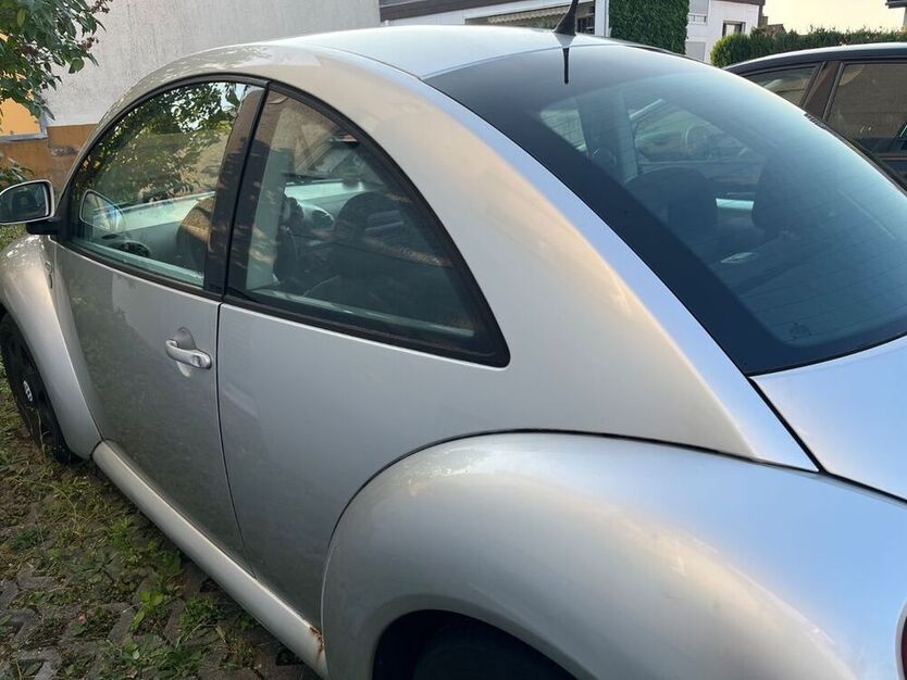Beetle